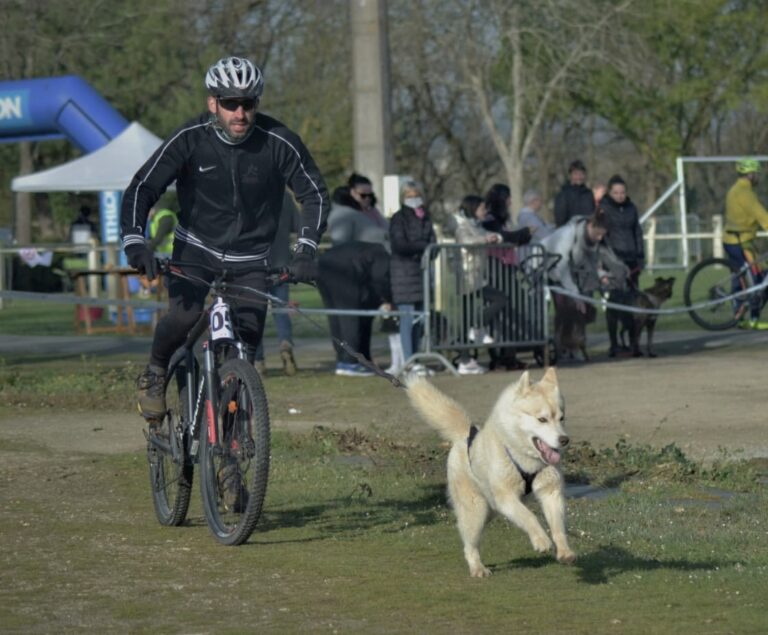 Picsart_22-04-11_20-18-14-593