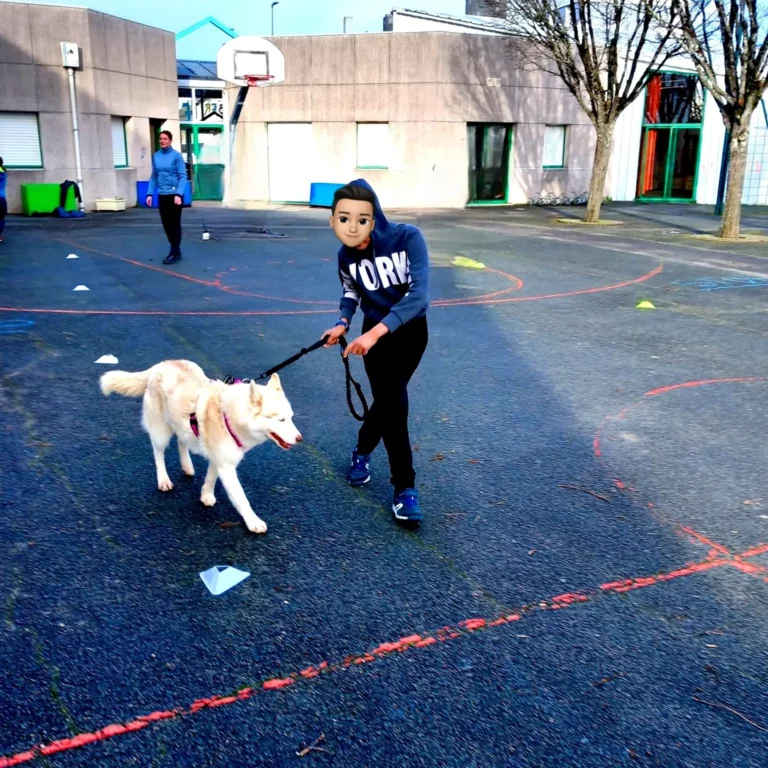 IMG_20230119_072433_624