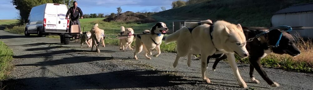 Doggy'sport 85- Chiens de traîneau Vendée- Initiations & cours particuliers de sports canins