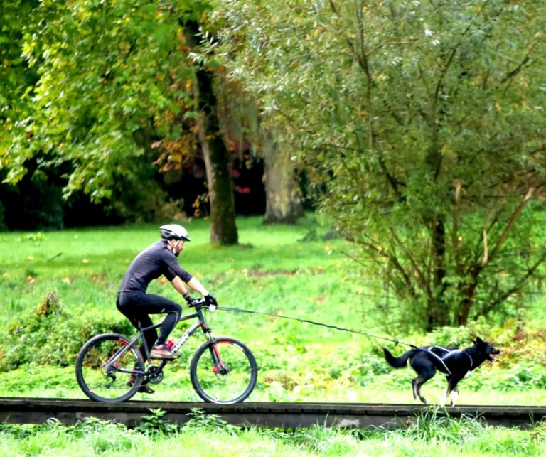 Picsart_22-10-18_15-40-50-736