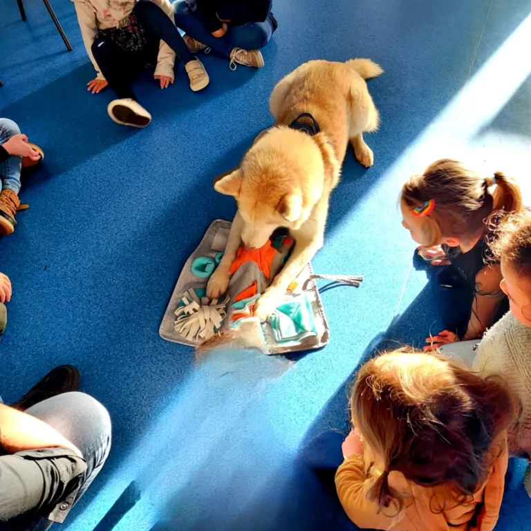 IMG_20230113_095215_922