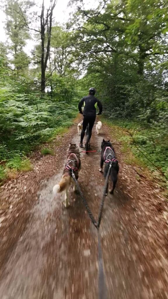 Videoframe_20220626_133208_com.huawei.himovie.overseas