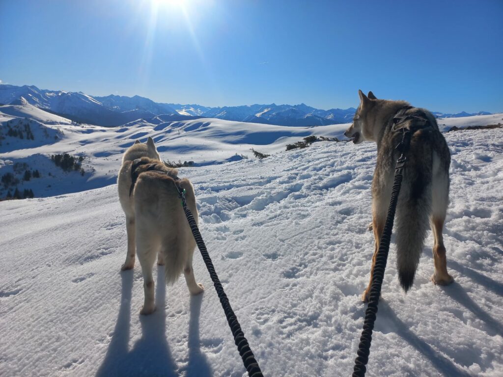 IMG-20251230-WA0015(1)