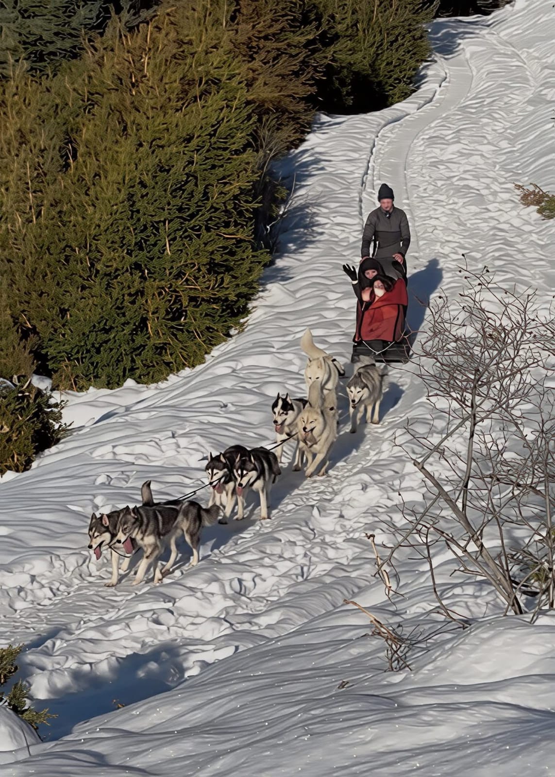 IMG-20260103-WA0009